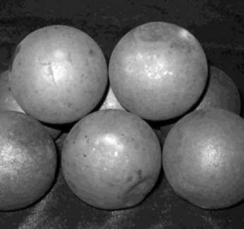 ���t���Ʒ�|(zh��)���Õ�(hu��)�l(f��)��ʲô